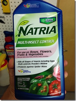 P20140705_232444268_4F289649-E4FE-4580-A09D-F354EA5DE7E3